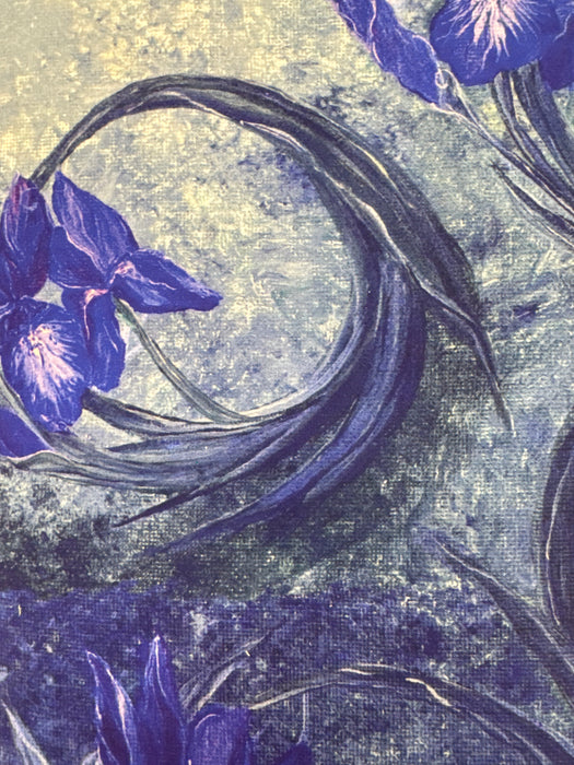 NC Rain Showers Iris Storm Ice Blue
