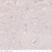 Batiks Hand-Dyes Pale Wheat