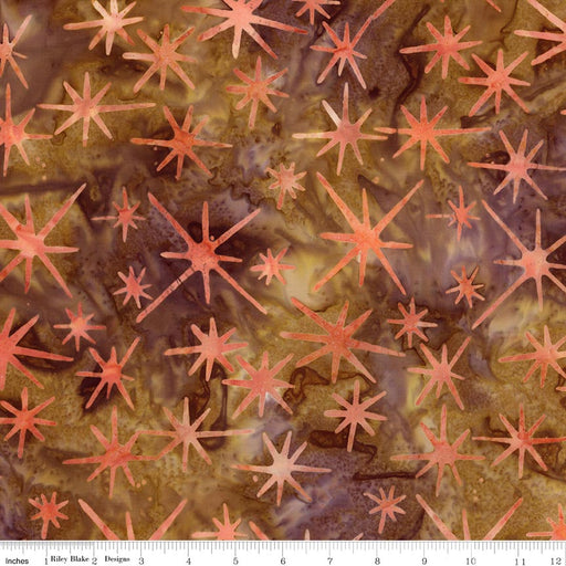 Batiks Starburst Groove Cinnamon Grove