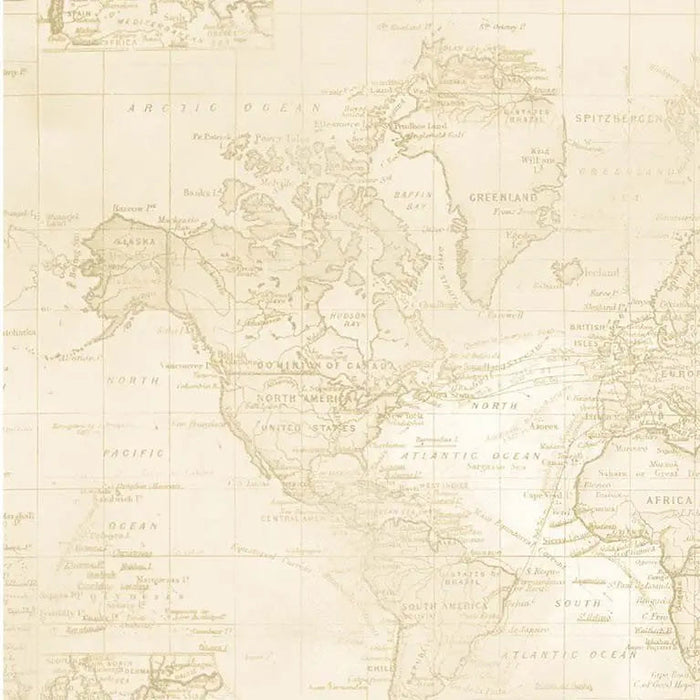 Beige Sea Navigation Cotton Wideback Fabric per yard