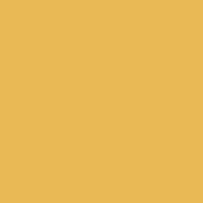 RB Confetti Cottons Honey