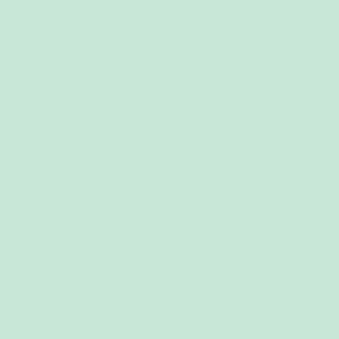 RB Confetti Cottons Color Misty