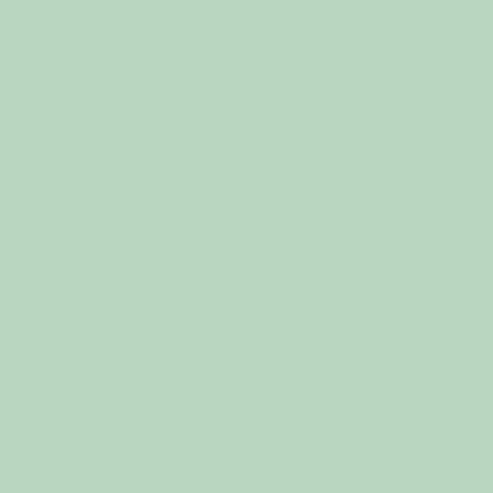 RB Confetti Cotton Sage