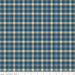 A Spoonful of Sugar Plaid Poppins Evening