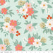 Meadow Moments Mint 17230