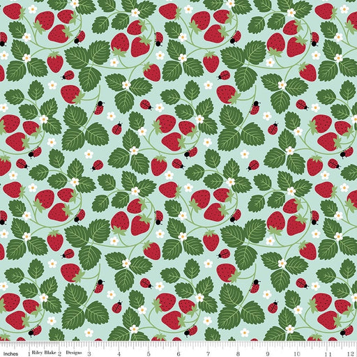 Little Ladybug Strawberries Blue