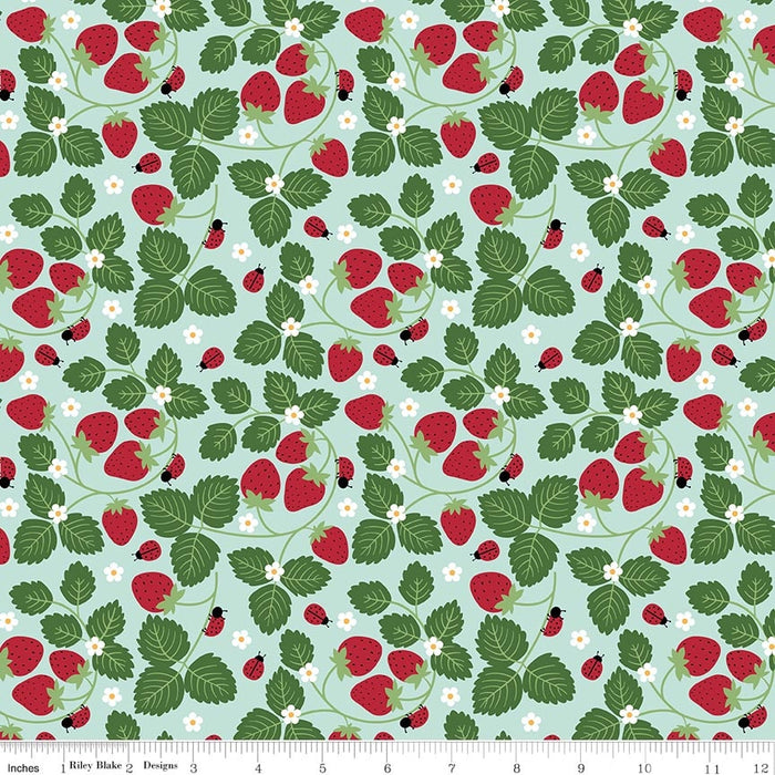 Little Ladybug Strawberries Blue