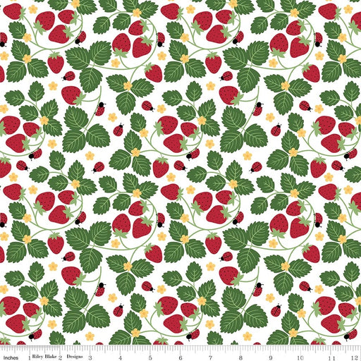 Little Ladybug Strawberries White