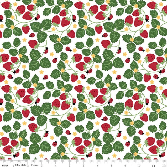 Little Ladybug Strawberries White