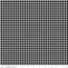 Little Ladybug Gingham Black