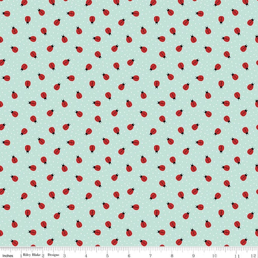 Little Ladybug Ladybugs Blue