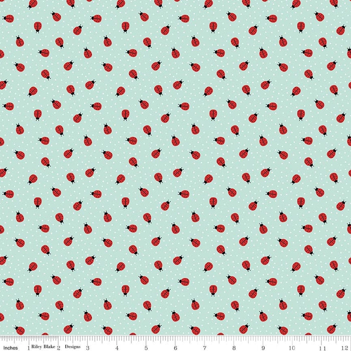 Little Ladybug Ladybugs Blue