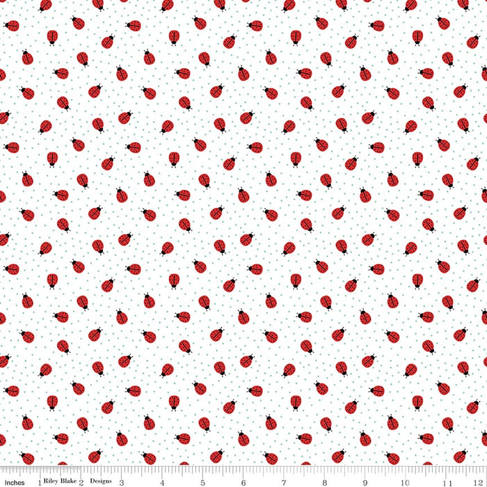 Little Ladybug Ladybugs White