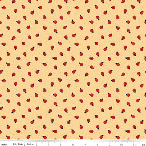Little Ladybug Ladybugs Yellow