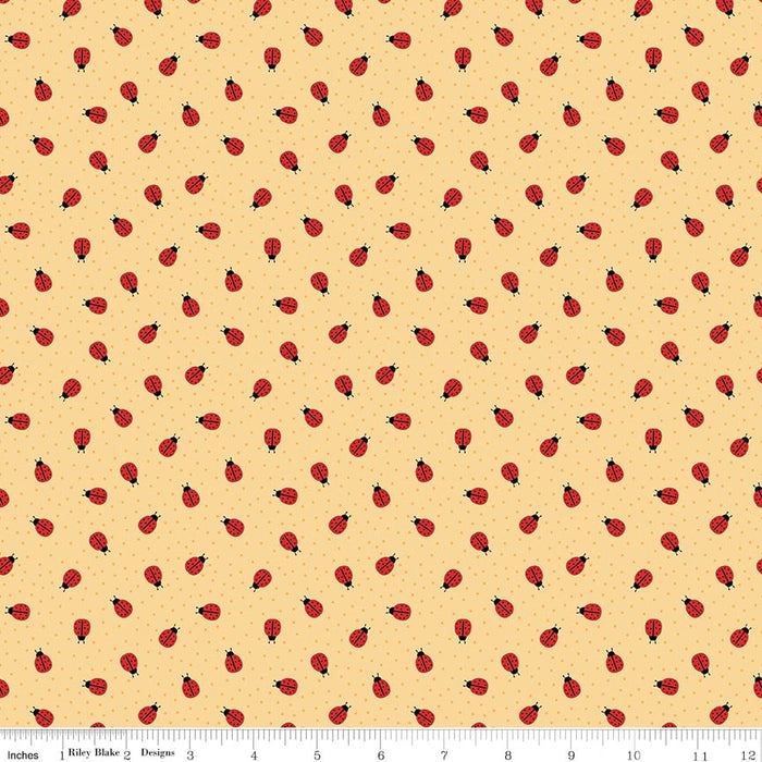 Little Ladybug Ladybugs Yellow