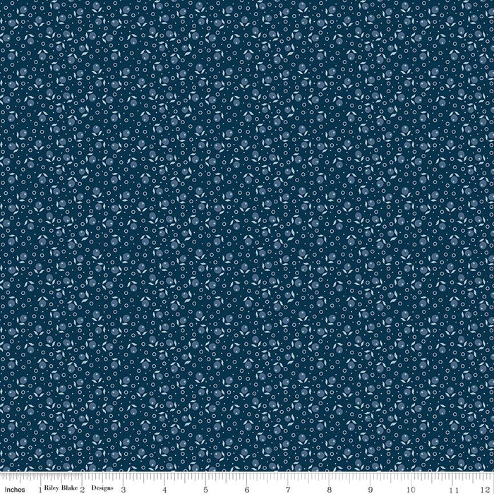 RB Denim & Daisy Suzanne Oxford Blue