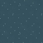 RB Dainty Daisy Stargazer