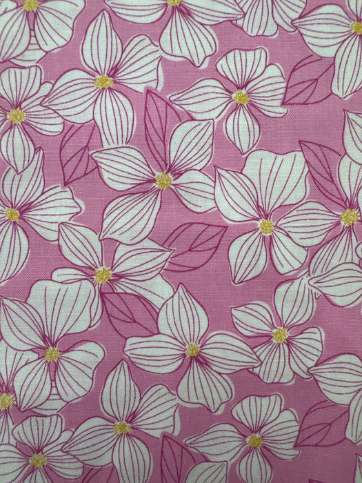 AN Wandering Lillies Pink