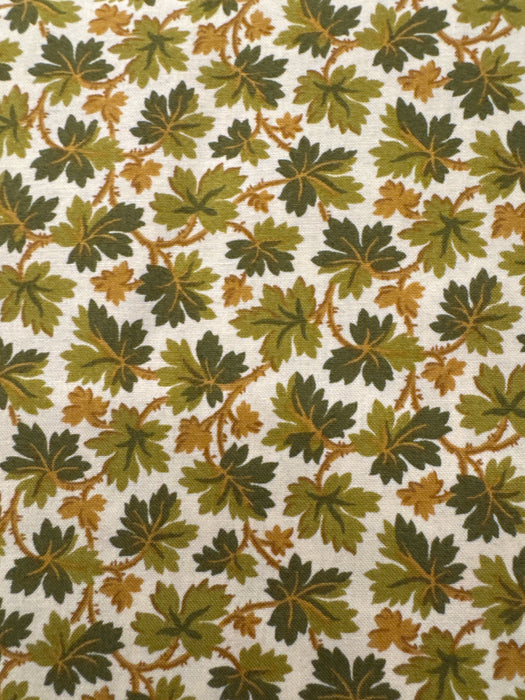 AN Autumn Woods Turning Leaves Green