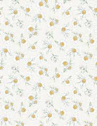 WL Daisy Days Daises Cream