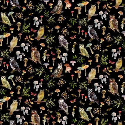 CW Wild Wonder Owls Black
