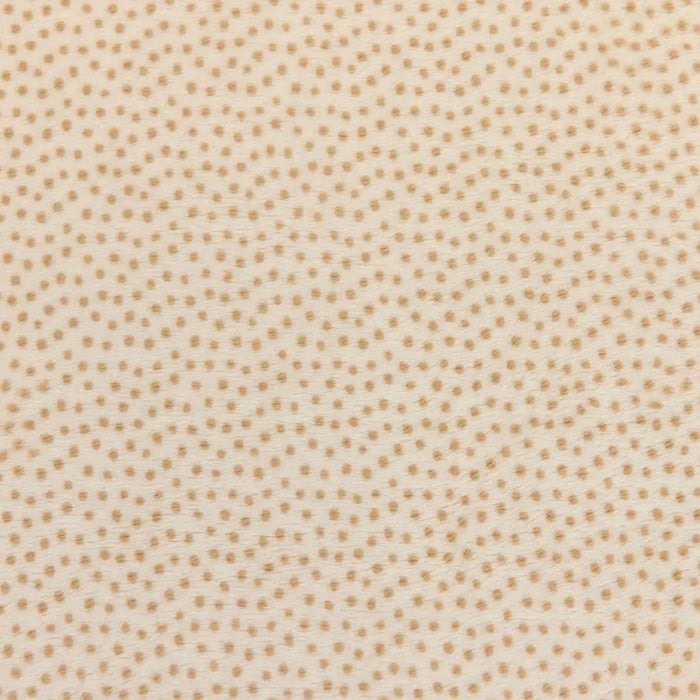 Cream Extra Wide Dottie Cuddle Sand Fabric per yard