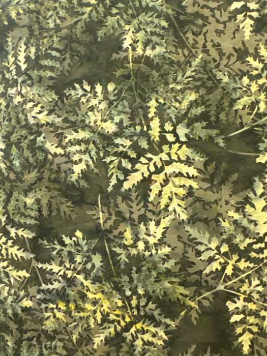 HO Leaves Fern