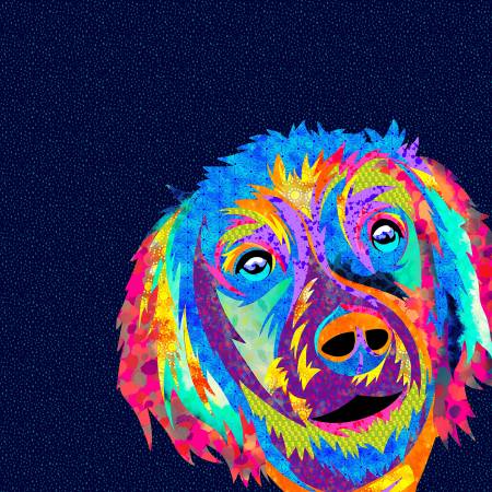 LI Lola the Dog