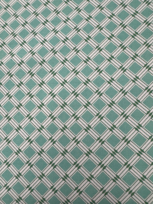 RK 1930’s Basics Aloe