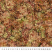 NC Oasis Rust 44in Wide - Serenity Springs - DP23887-34
