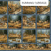 Naturescapes Birchwood DP29106-44 Md Blue Multi