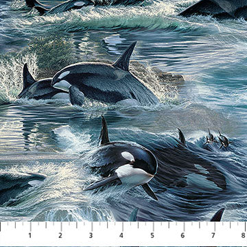 Naturescapes Voyage Blue Multi DP29117-48