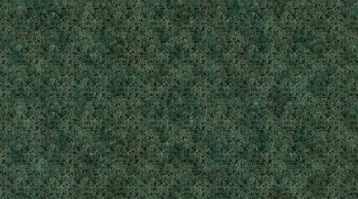 NC Cedar Sprigs Dk Green 44in Wide - Altitude - DP29159-79