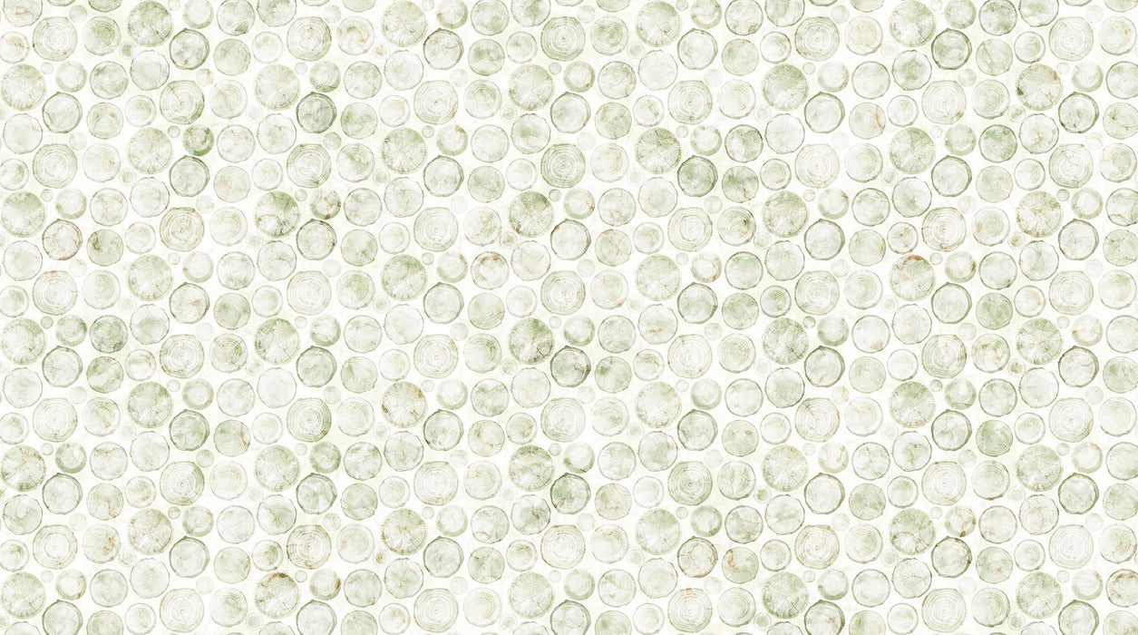 NC Crossgrain Off White/Green 44in Wide - Altitude - DP29161-10