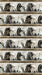NC Border Stripe Brown Multi 44in Wide - Shadow & Light - DP29219-34