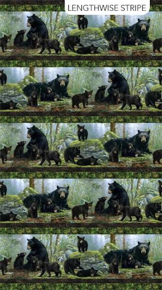 NC Bear’s Den Border Stripe 27621-99