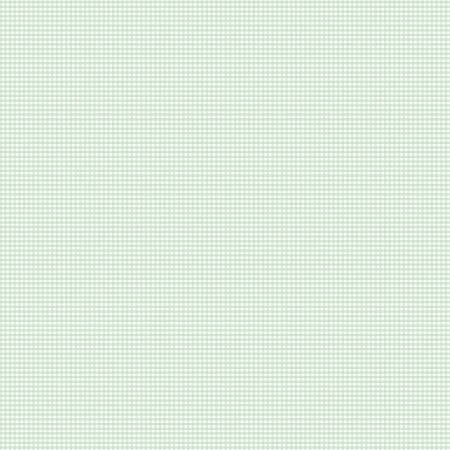 RB Micro Gingham Flannel Sweet Mint