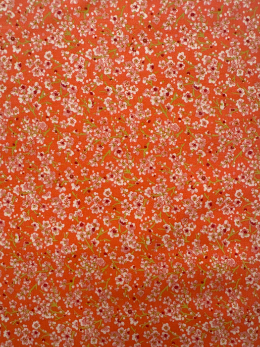 FS Parterre Scarlet Blossom Coral