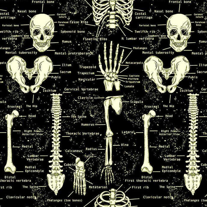 Black Glow in the Dark Skeletons Cotton 44"/45" Fabric Per Yard