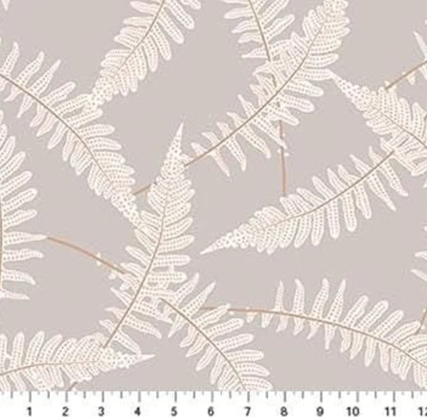 FI Ferns Gray The Botanist
