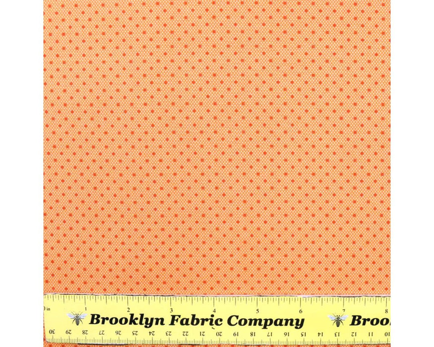 AN Sprinkles by laundry basket quilts