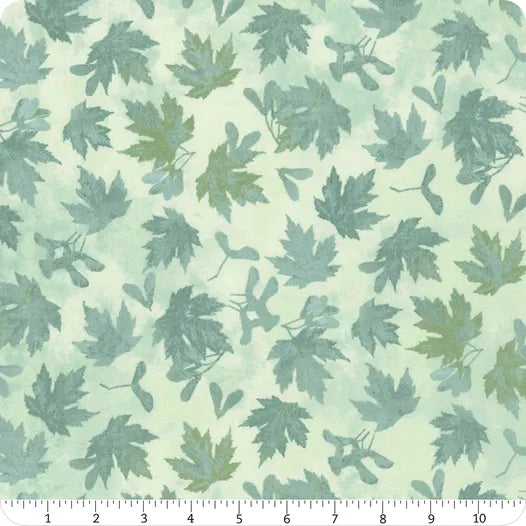 NC Stonehenge autumn splendor lite teal