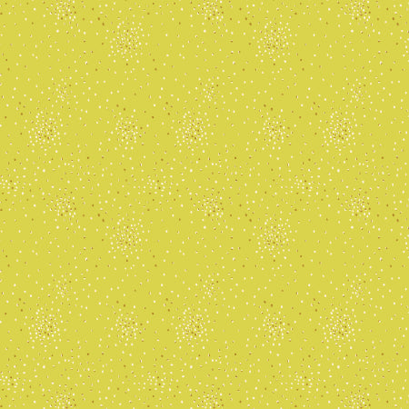 CS Basics Honeydew Melon