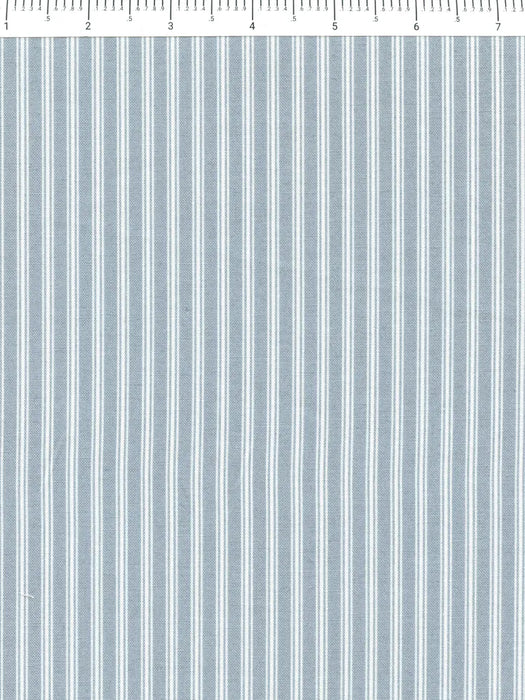 FI Nest Aqua Stripe