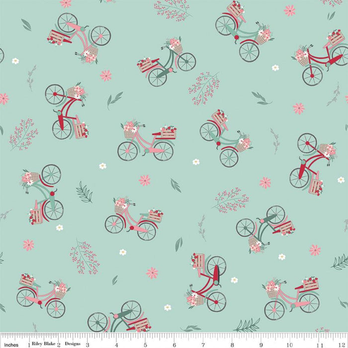 RB Berry Market Bicycles Mint