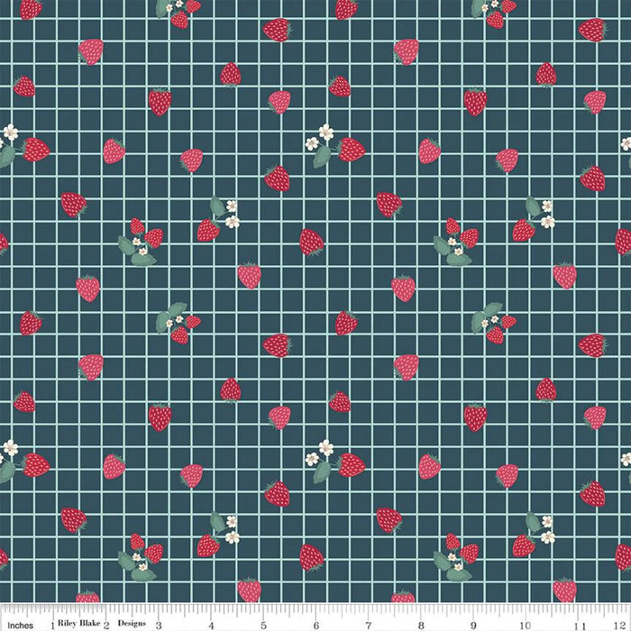 RB Berry Market Gingham Berries Stargazer