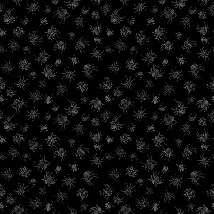 QT Spider Toss Creepsville 2600-30207-J