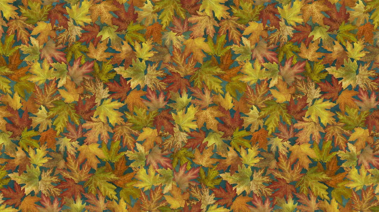NC Dark Teal Multi Packed Leaves Stonehenge Autumn Splendor