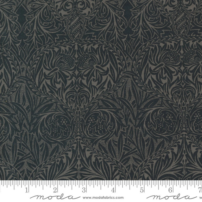 AN Nevermore Lace Gray