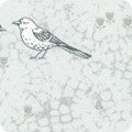 RK Songbird Dove